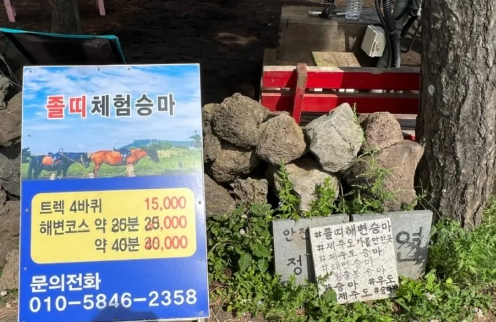 졸띠해변승마 사진 12