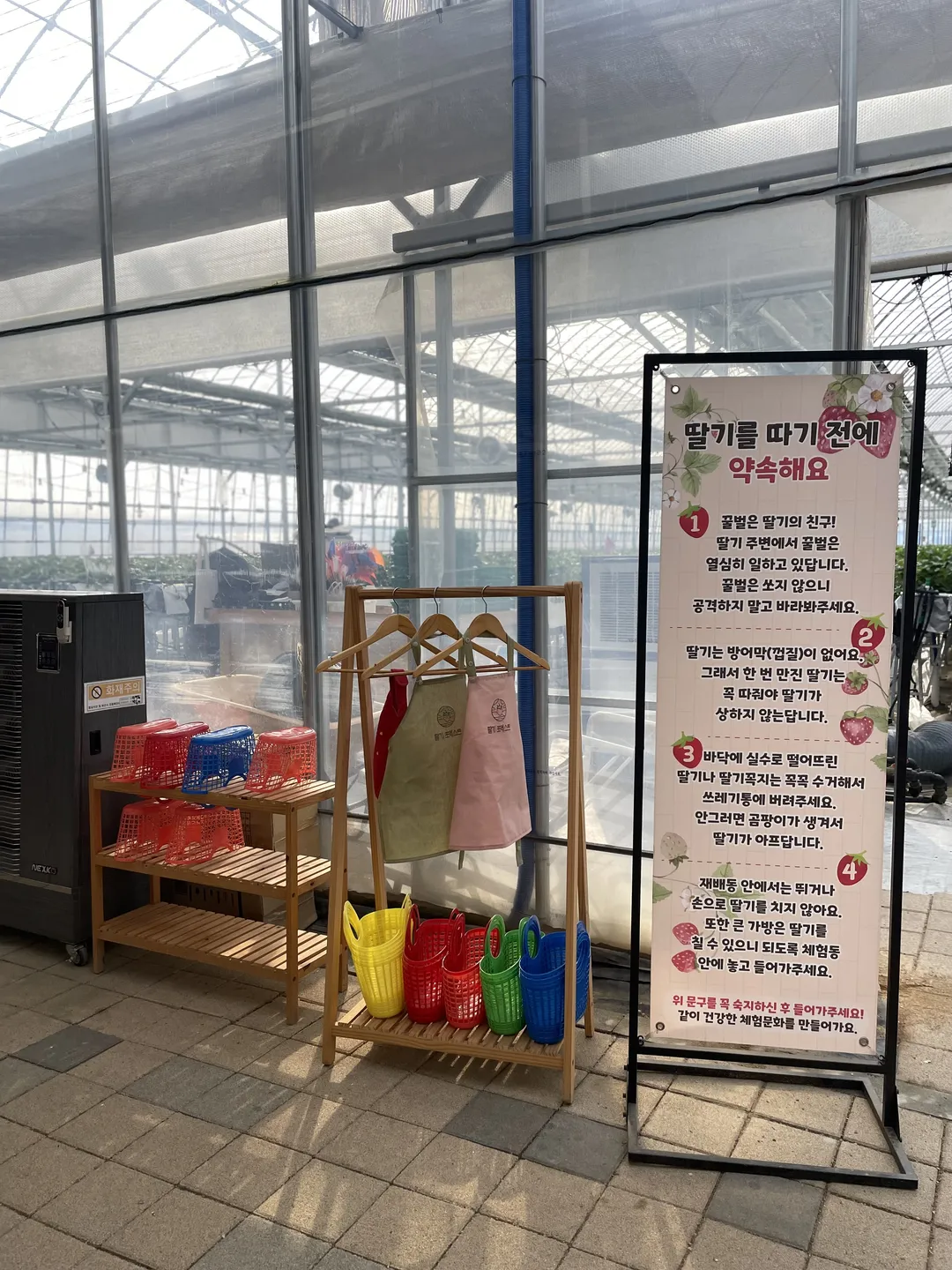 딸기포레스트 사진 13