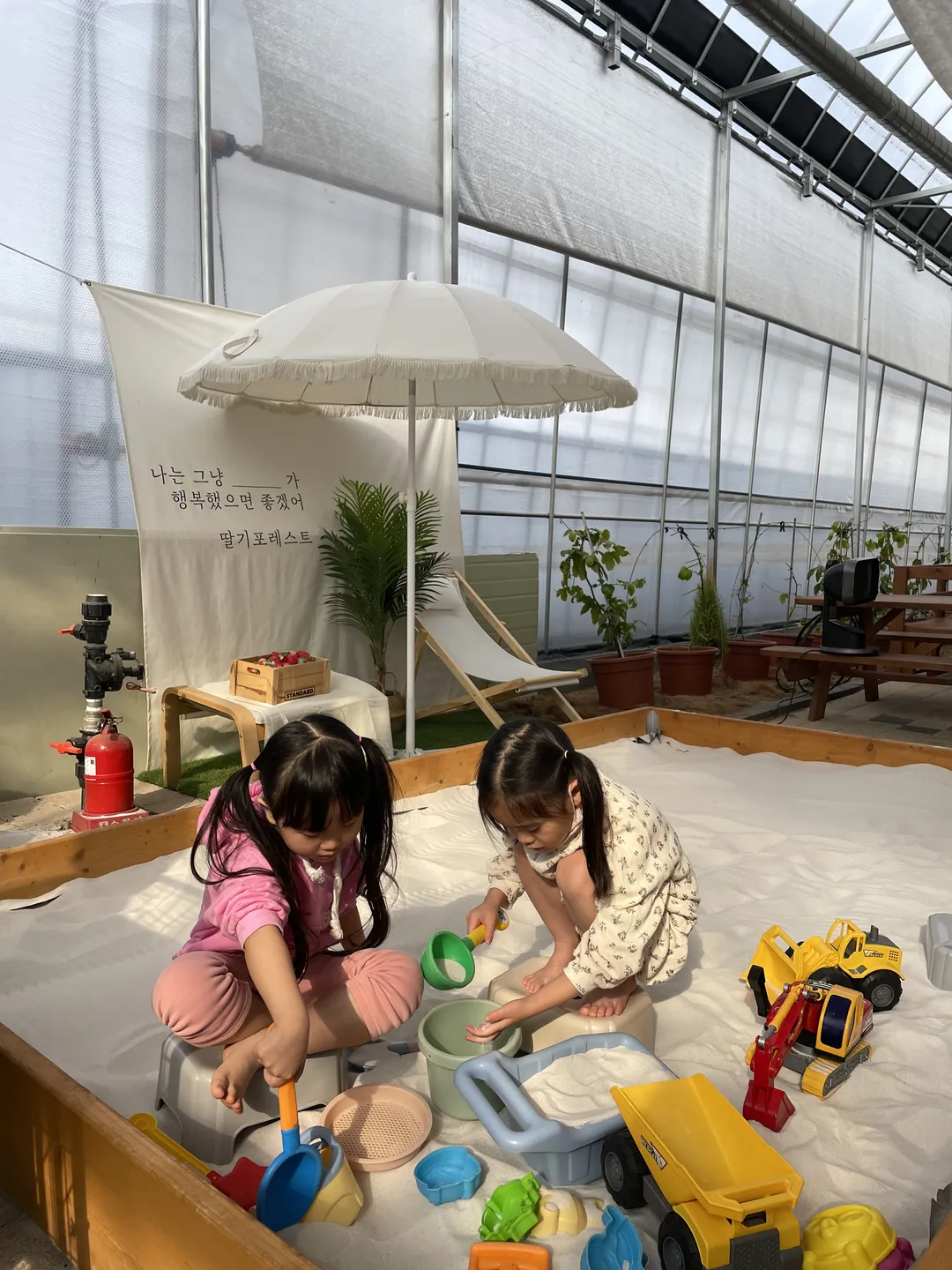딸기포레스트