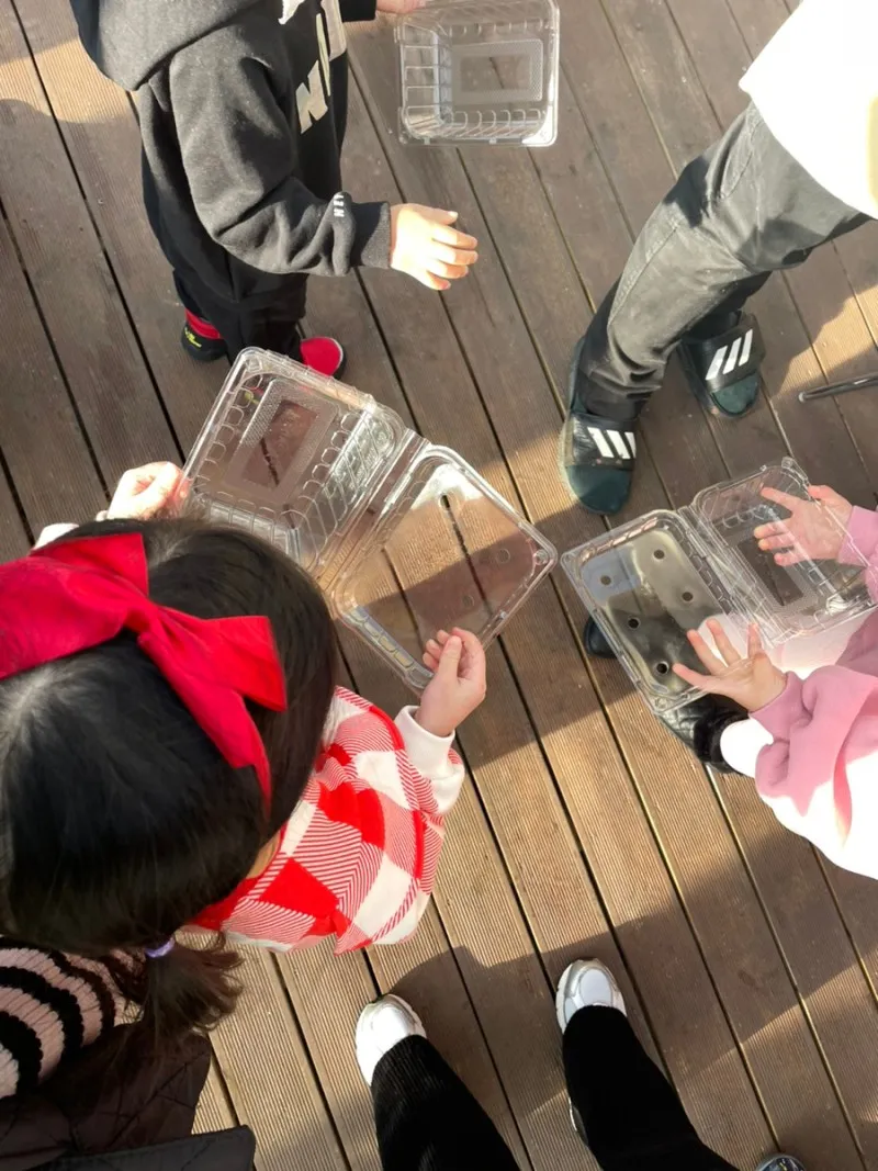 イチゴの一日 写真 6
