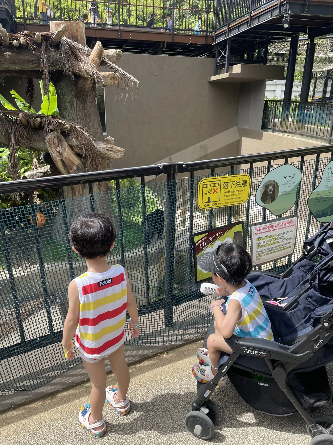 Okinawa Kodomo-no-kuni Zoo photo 8