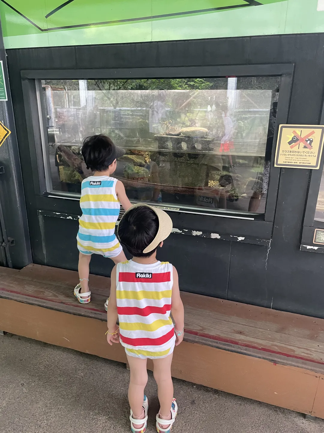 Okinawa Kodomo-no-kuni Zoo photo 9