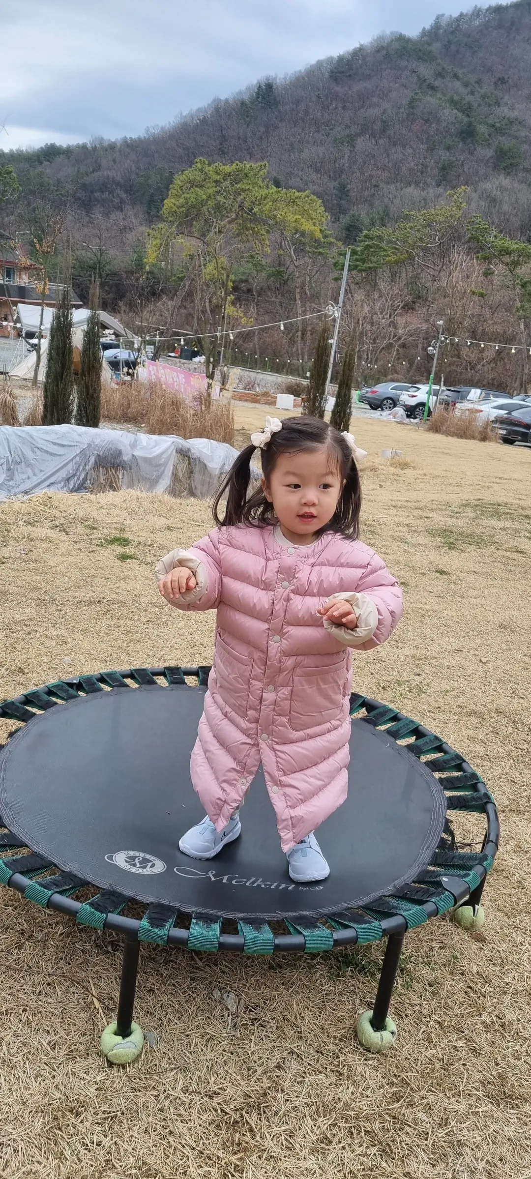 수피아 한우