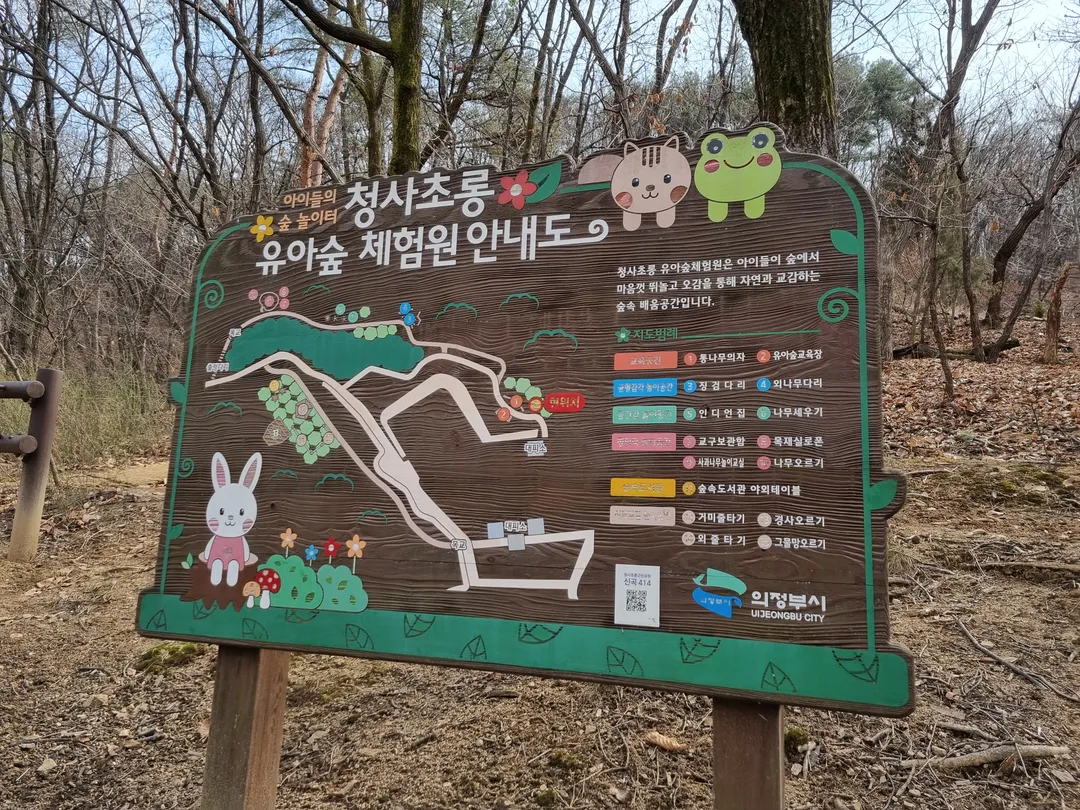 청사초롱 유아숲체험원 사진 12