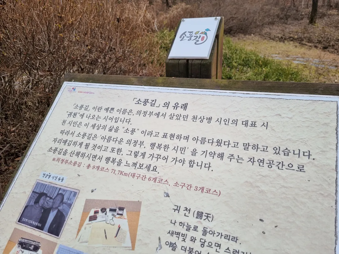 청사초롱 유아숲체험원 사진 14