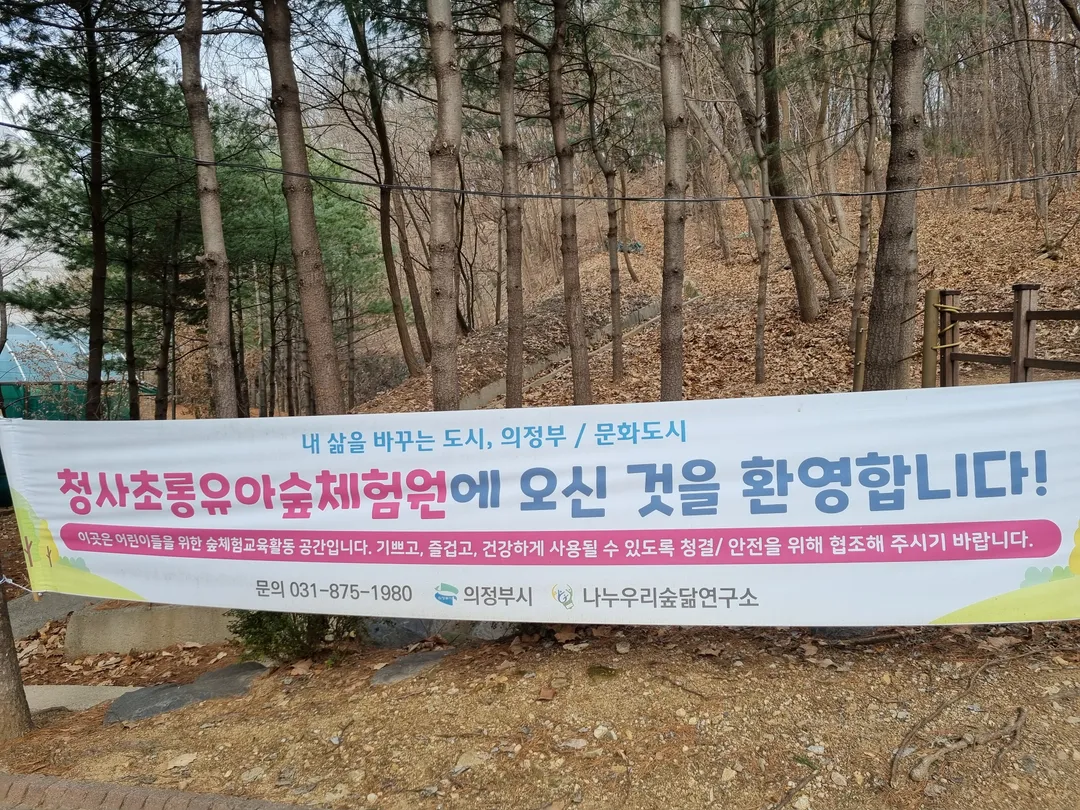 청사초롱 유아숲체험원 사진 11