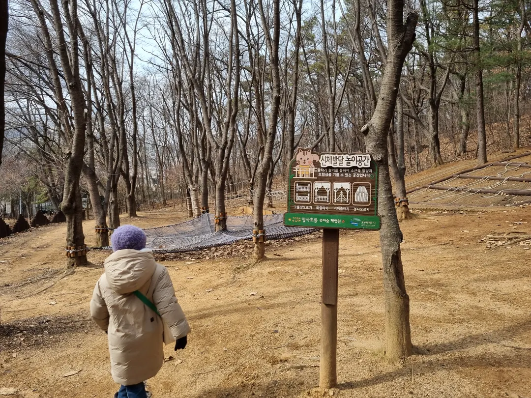 청사초롱 유아숲체험원 사진 6