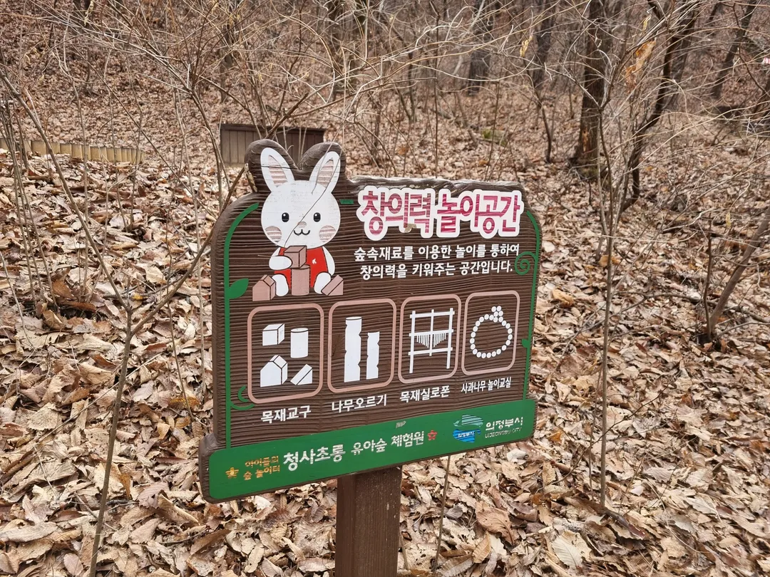 청사초롱 유아숲체험원 사진 10