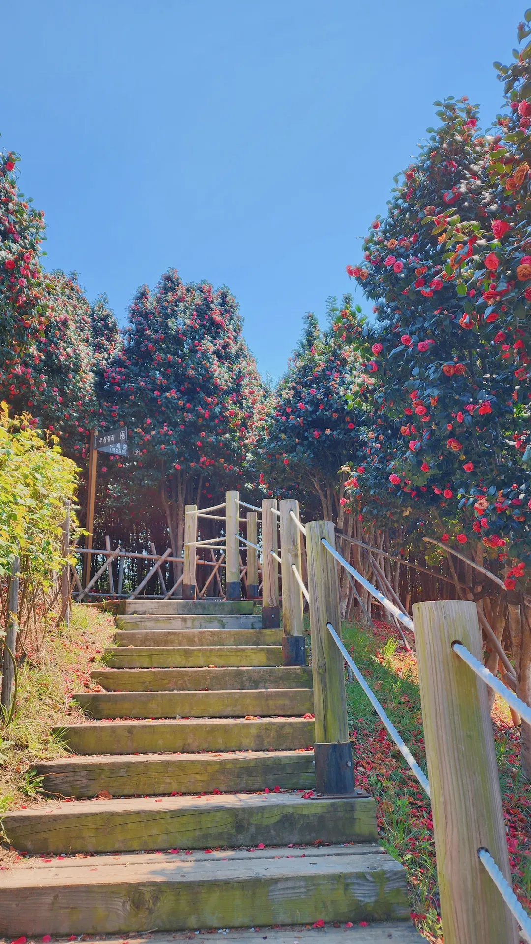 ジャンム公園 写真 10