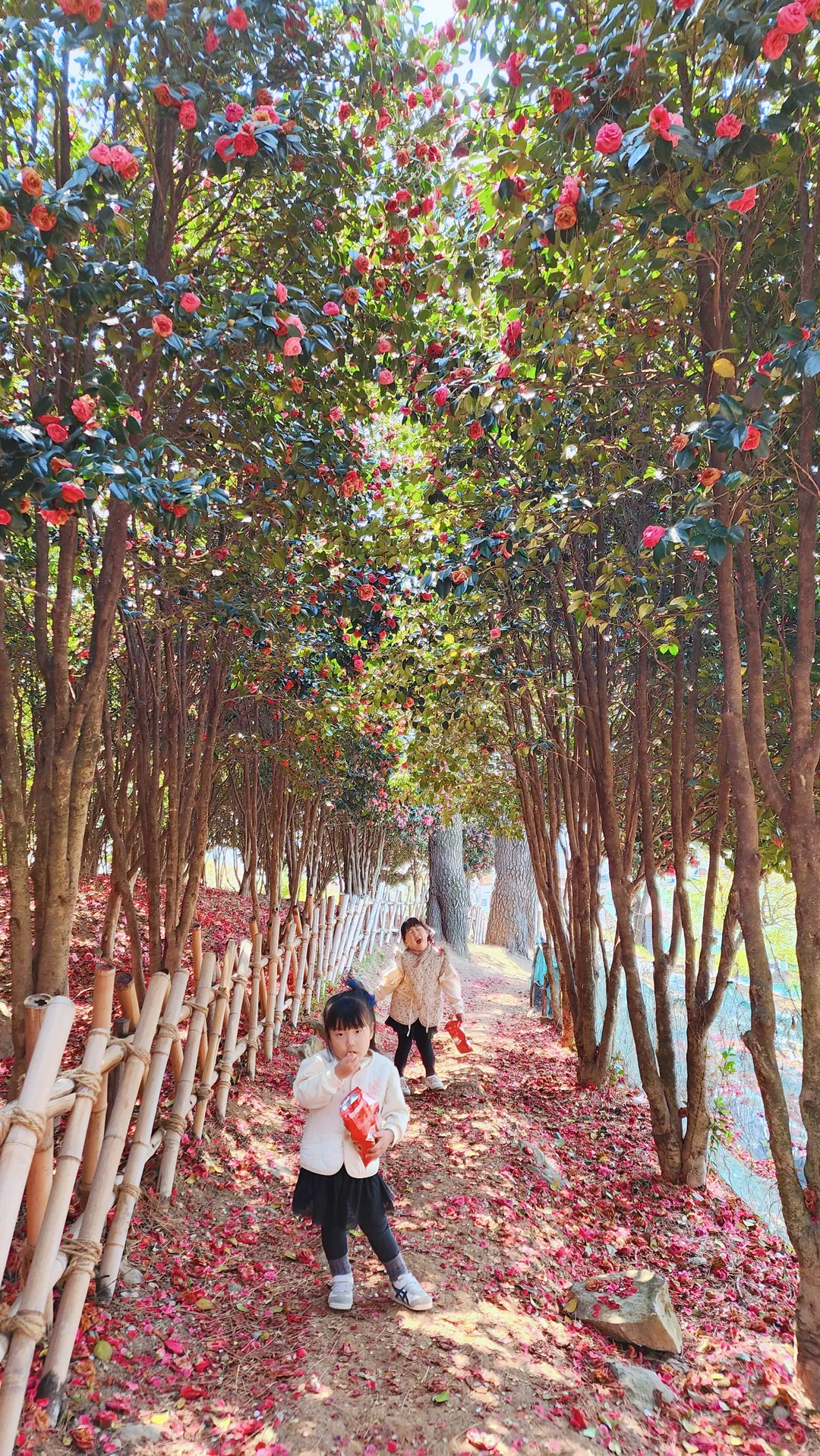 ジャンム公園 写真 6