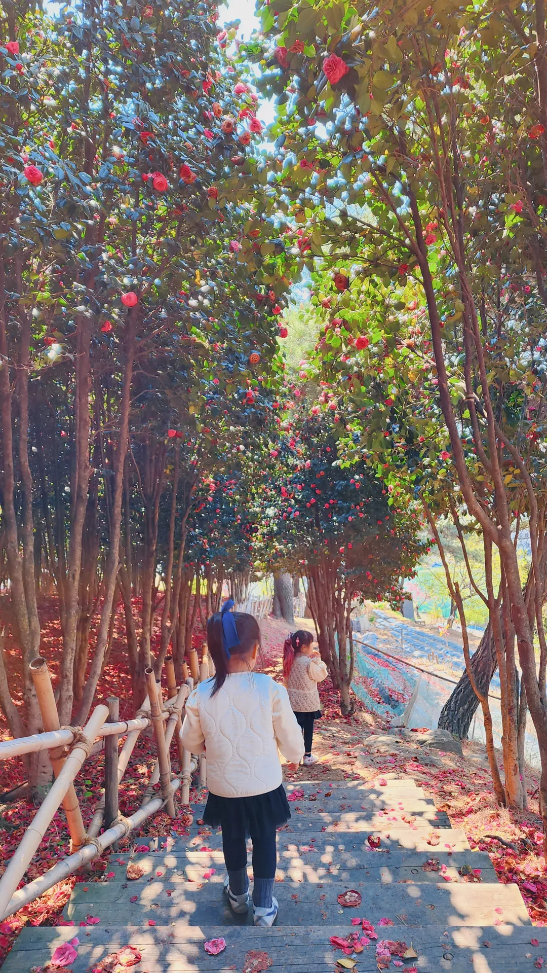 ジャンム公園 写真 9