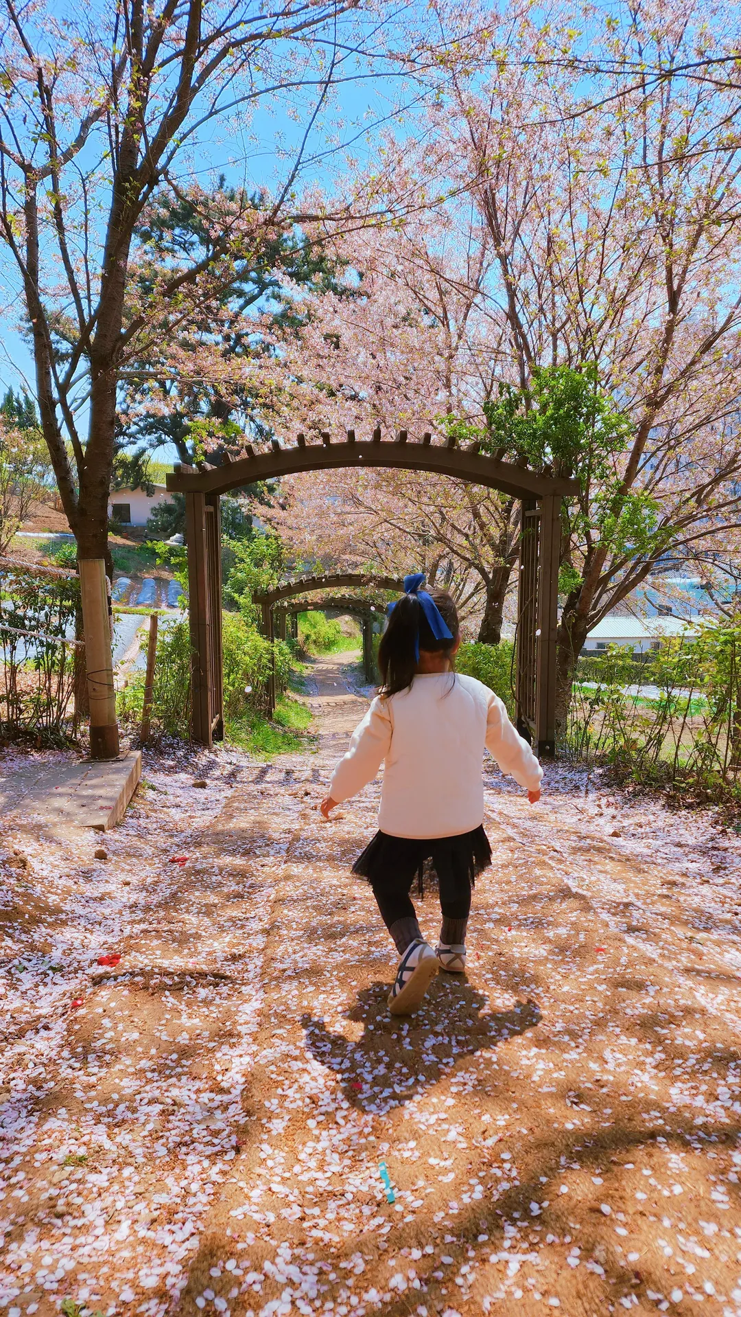 ジャンム公園 写真 7