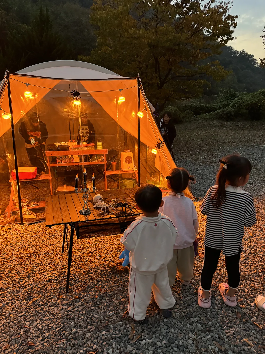 도토리캠프