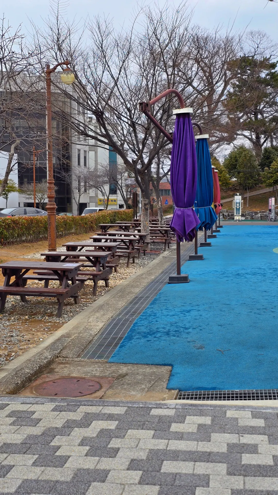 Dongdong Park Aina Playground photo 13
