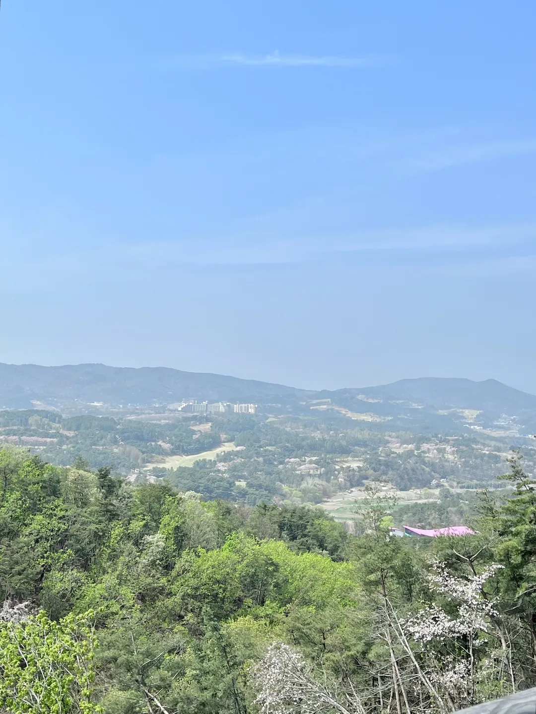 커피명가 경주무장산점 사진 7