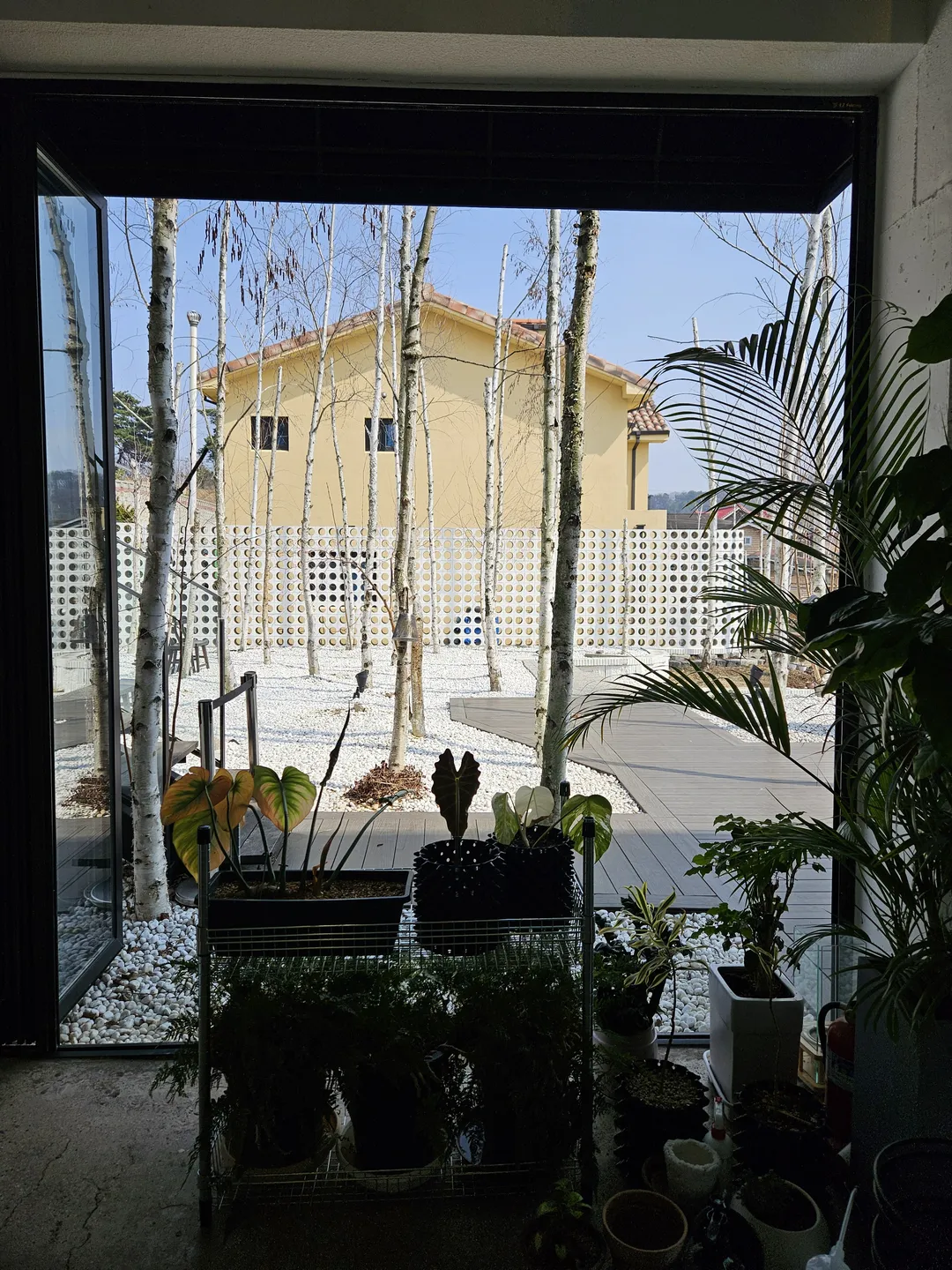 Hillside photo 7