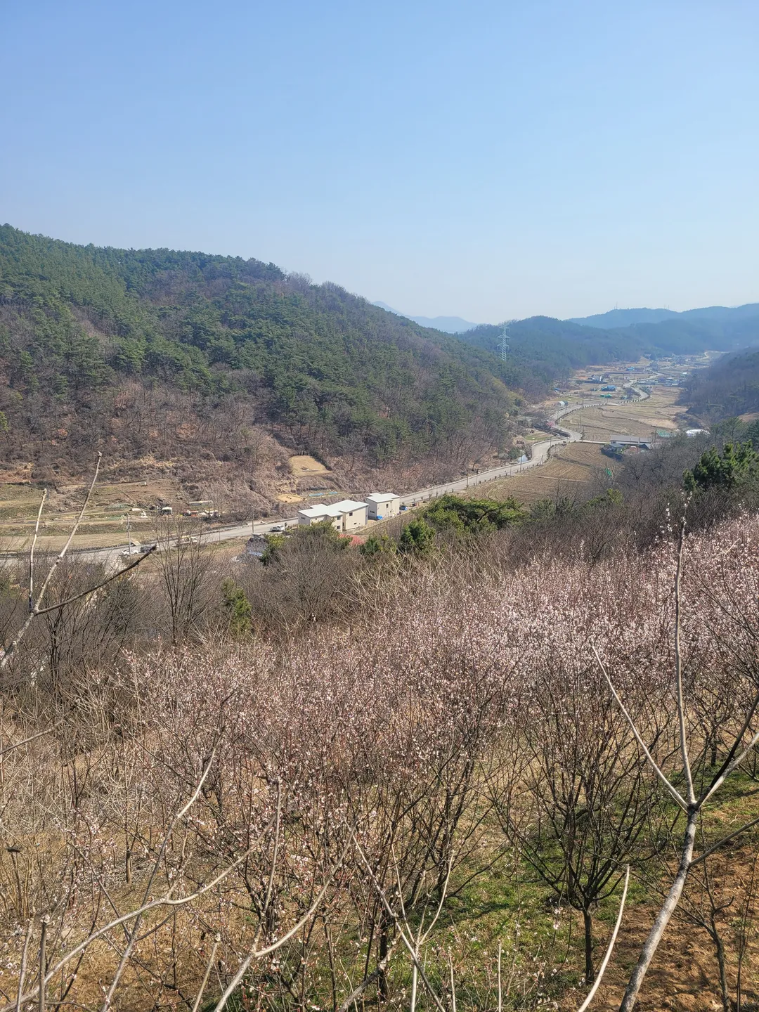능전수목원 사진 12