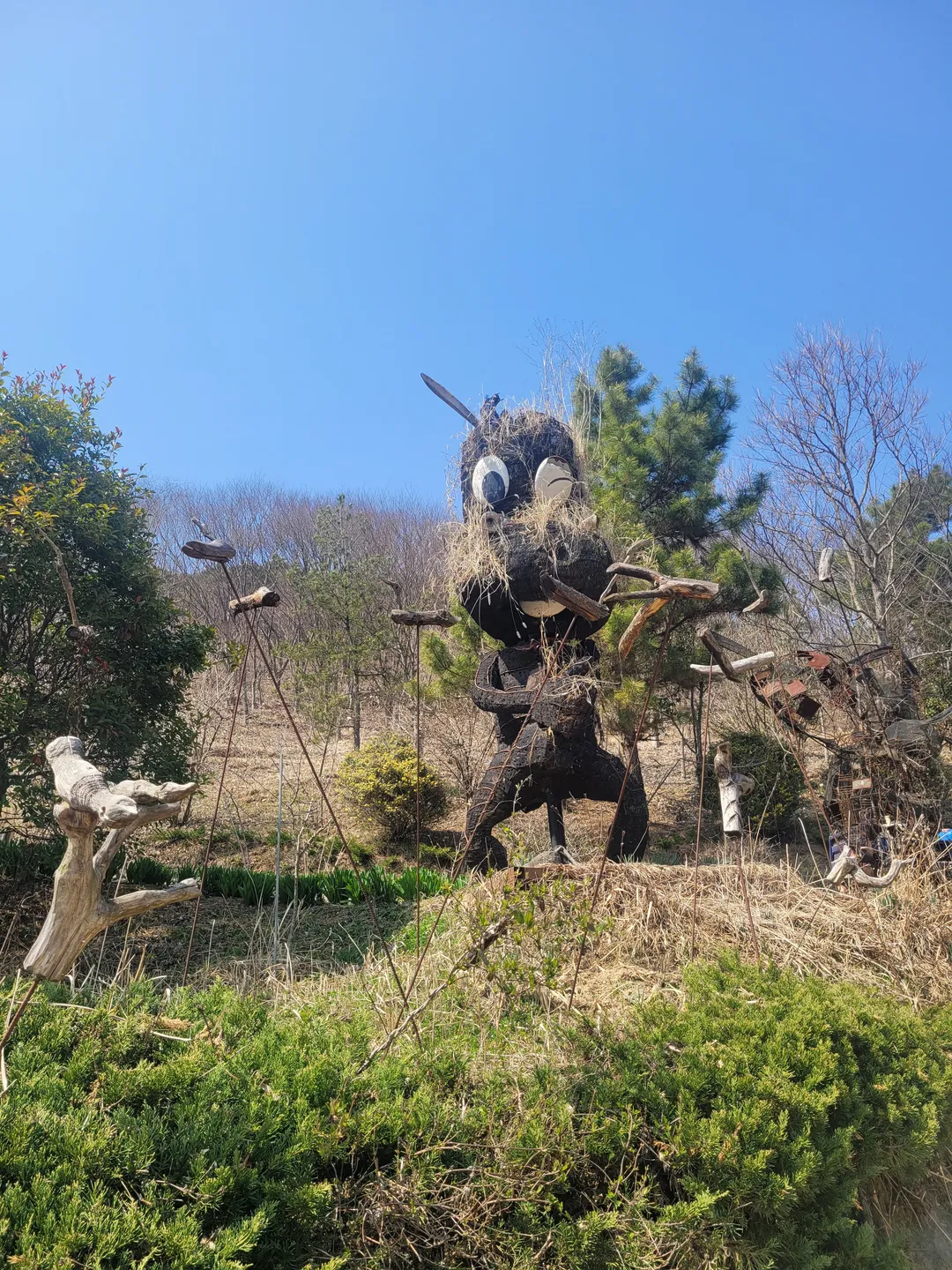 능전수목원 사진 11