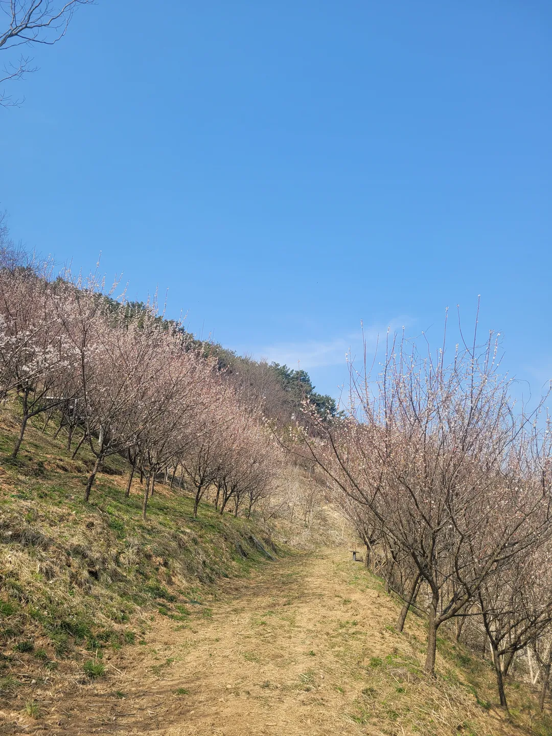 능전수목원 사진 6