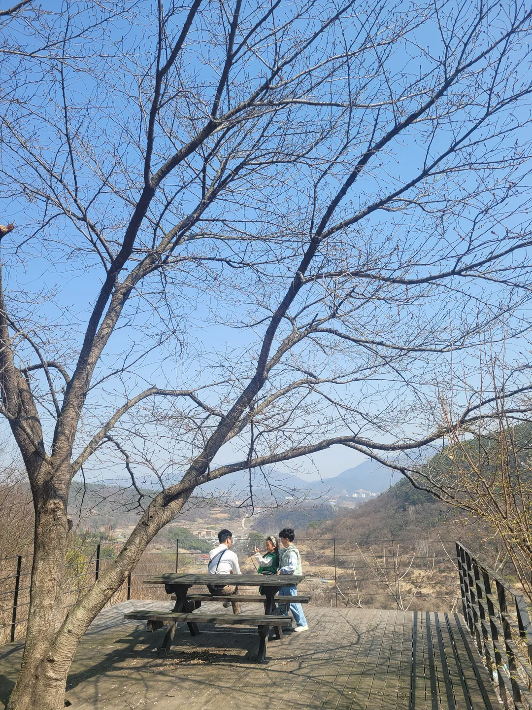 능전수목원 사진 8