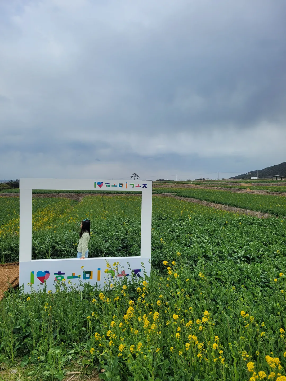 호미반도 경관농업 단지