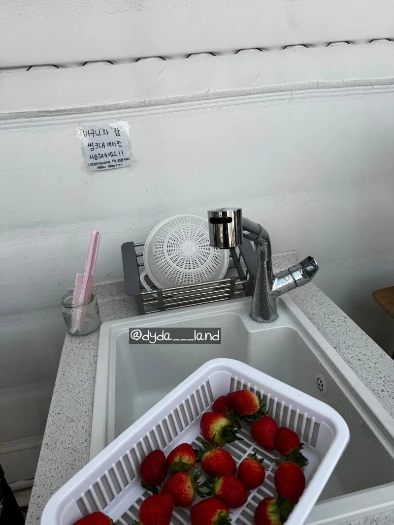 ダインのイチゴ体験農場 写真 10