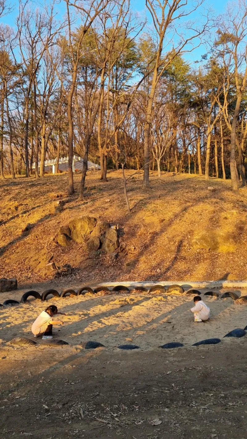 화원동산 숲속놀이터