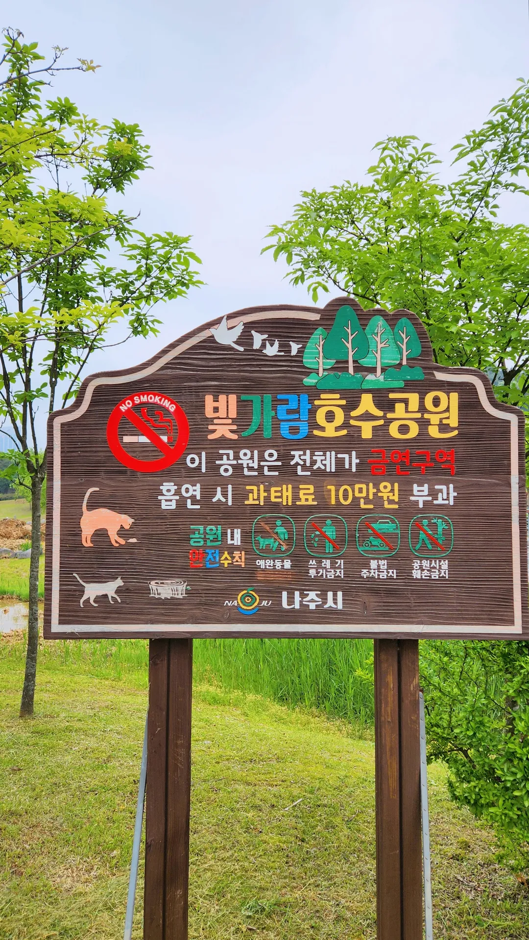 빛가람호수공원유아숲체험원 사진 13