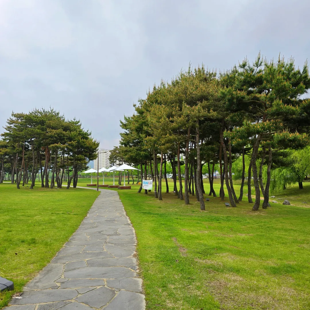 빛가람호수공원유아숲체험원 사진 11