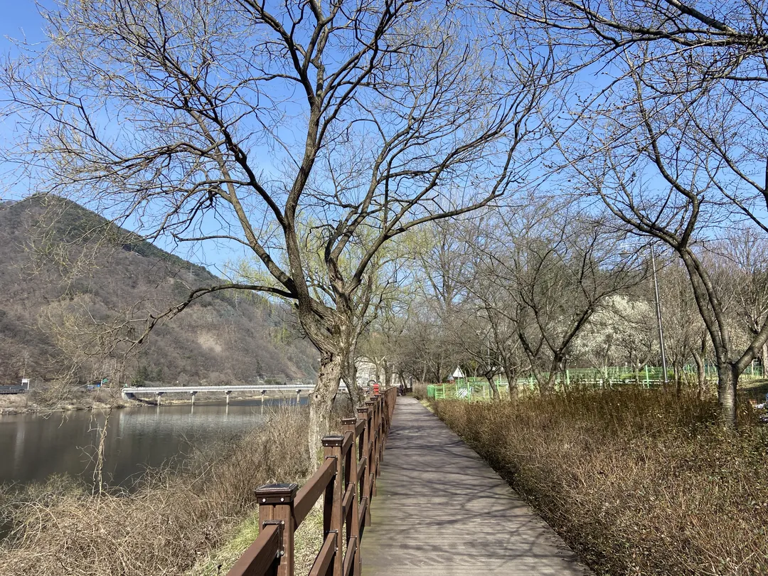 금강로하스대청공원(어린이놀이터)