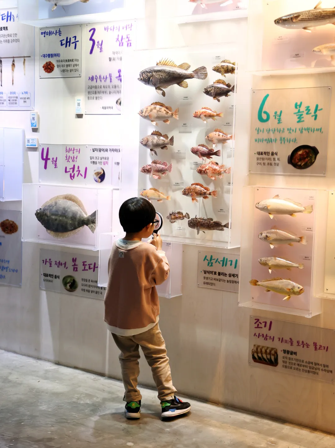 제주해양동물박물관 사진 23