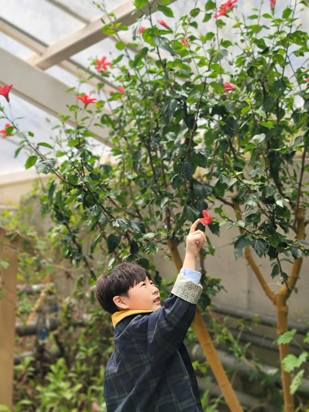 Pureun Arboretum photo 6