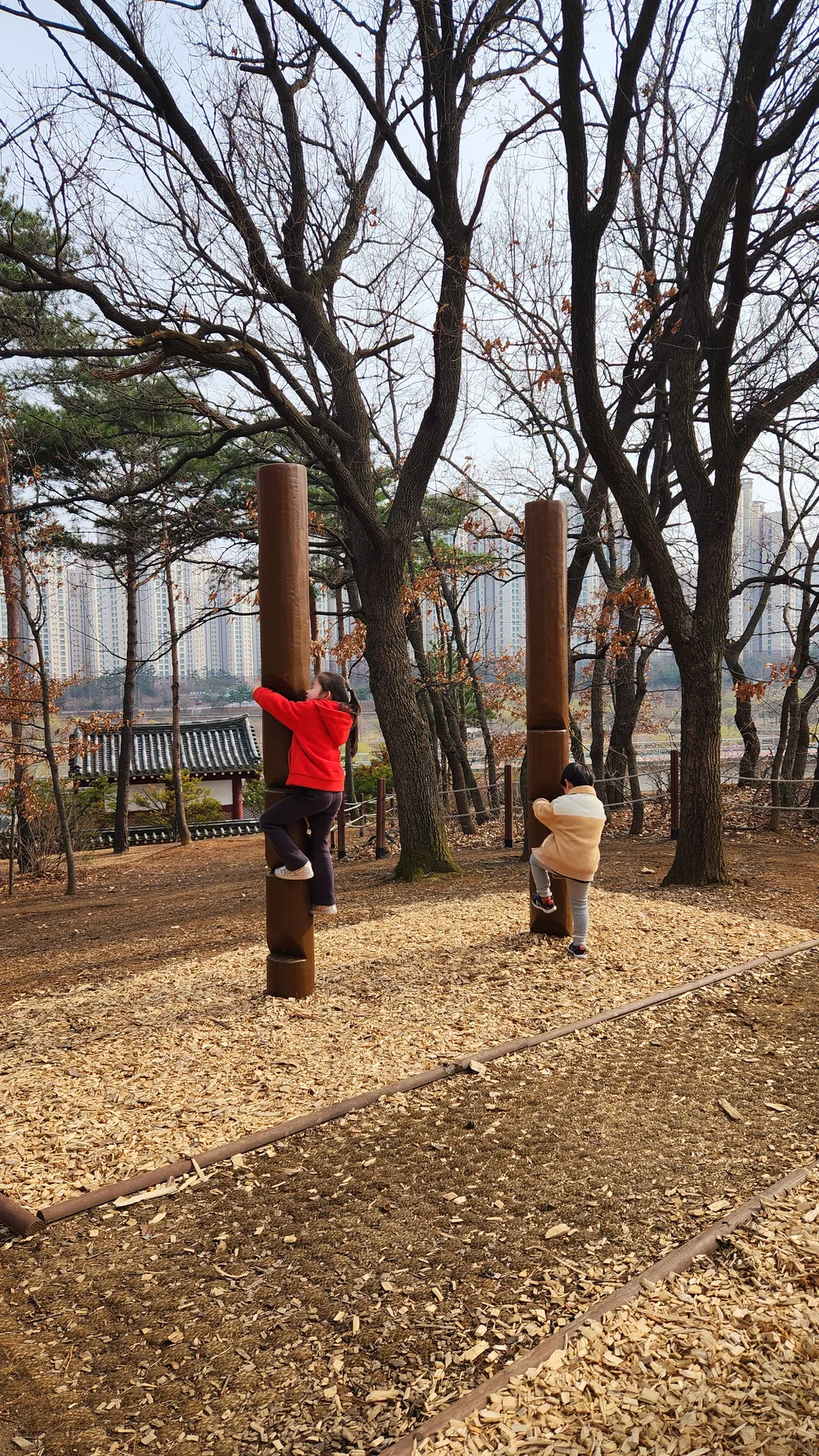 ウンジョン湖公園 幼児の森体験場 写真 6