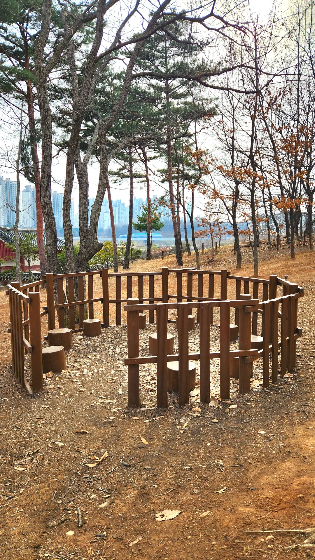 ウンジョン湖公園 幼児の森体験場 写真 12