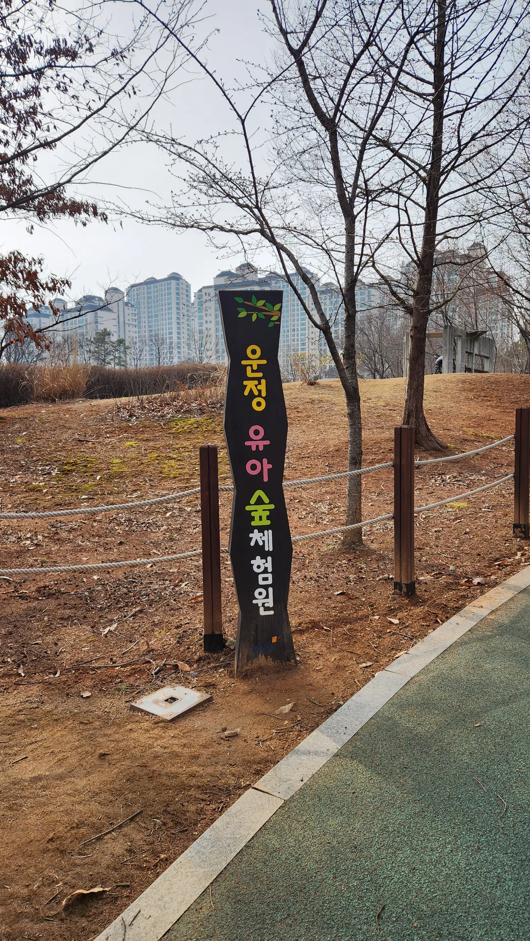 ウンジョン湖公園 幼児の森体験場 写真 9