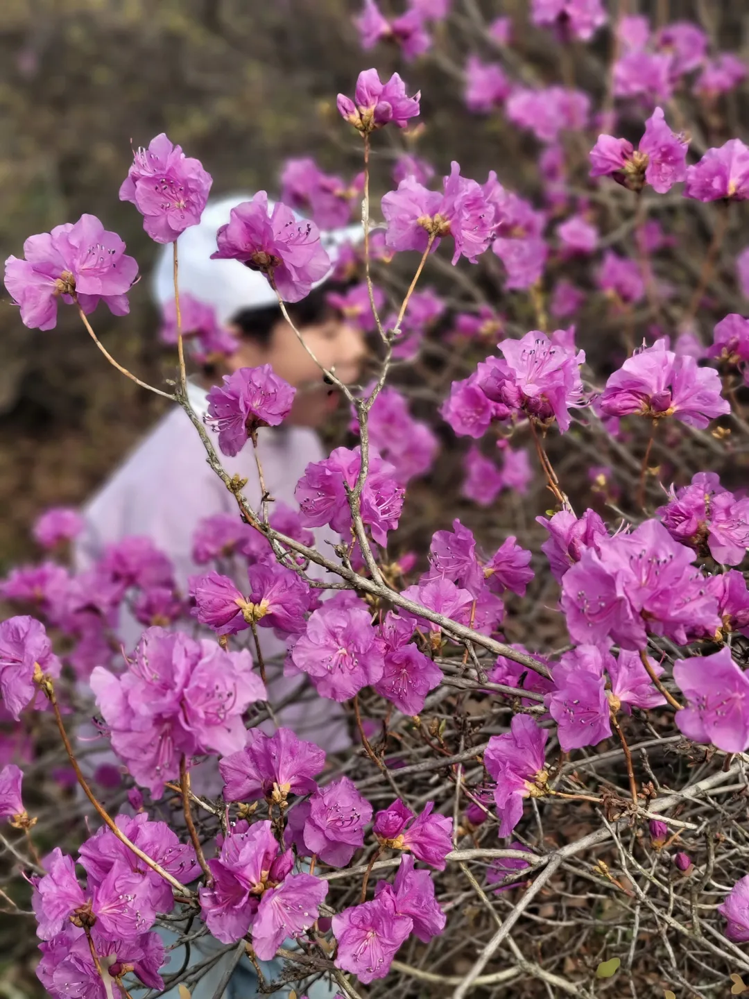 ウォンミサン 写真 8