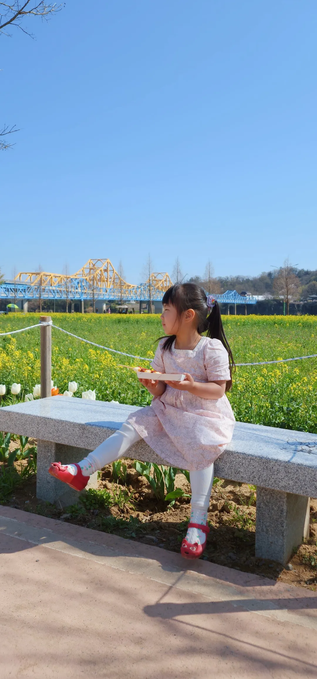 昌寧南旨ユチェ畑 写真 8