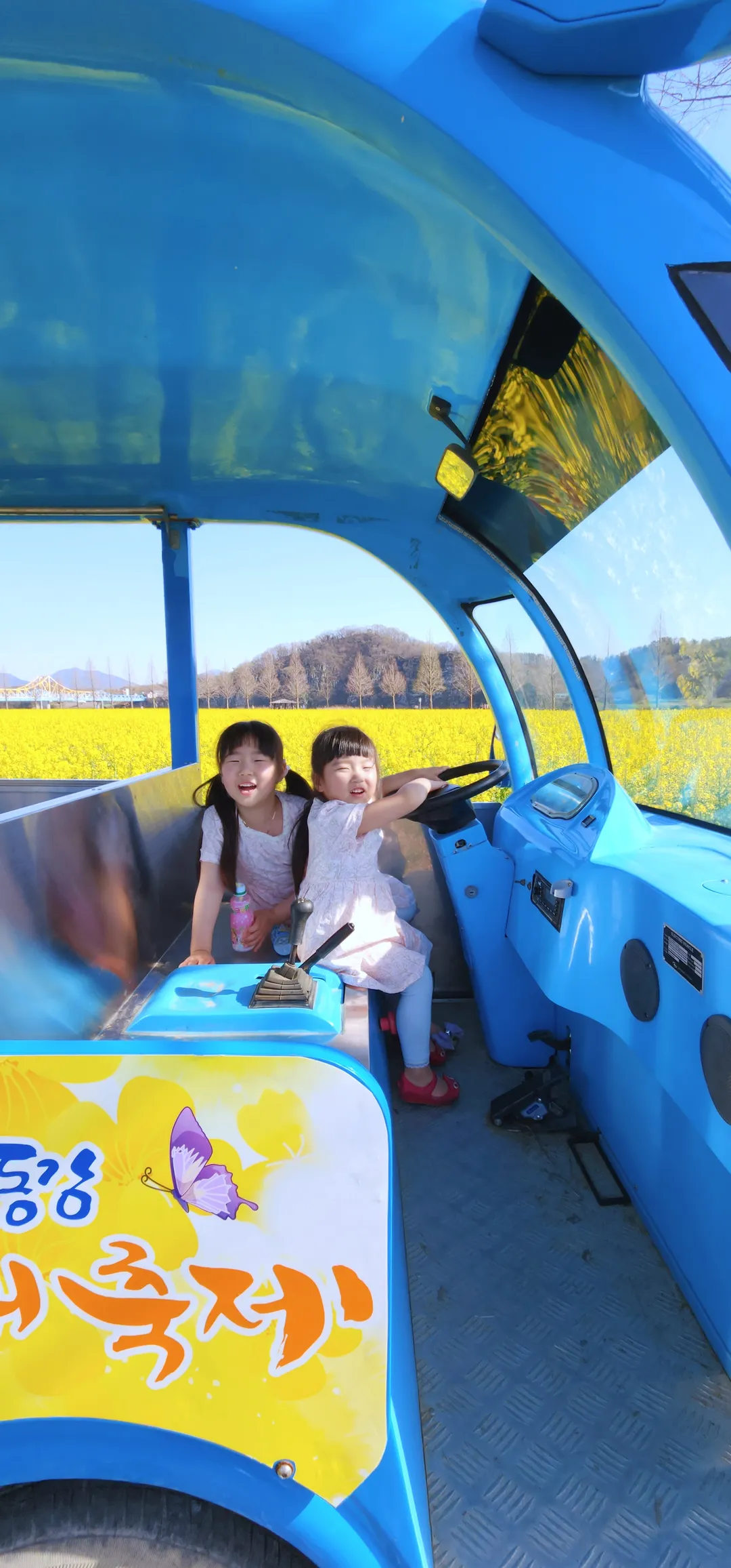 昌寧南旨ユチェ畑 写真 12