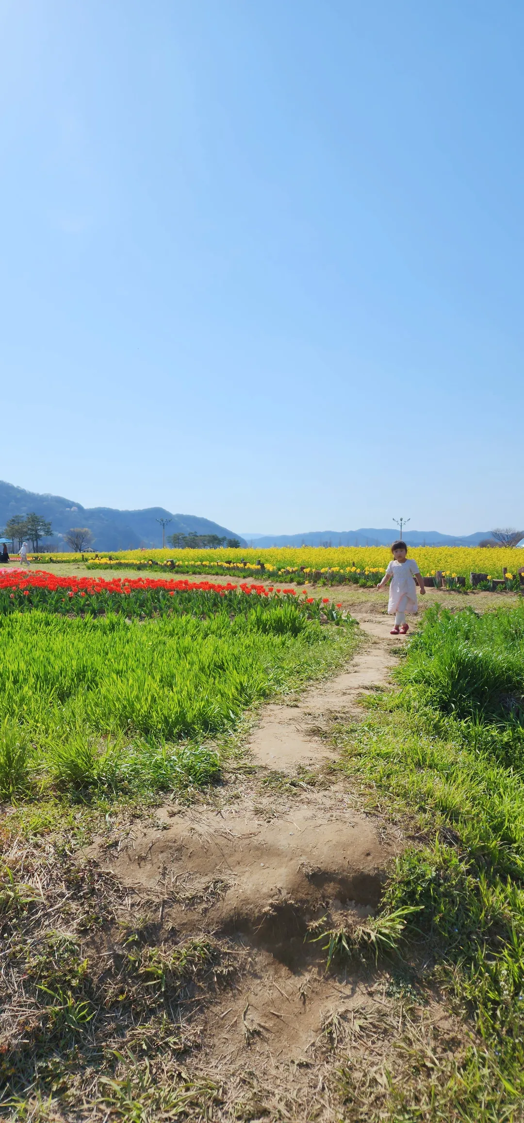 昌寧南旨ユチェ畑 写真 7