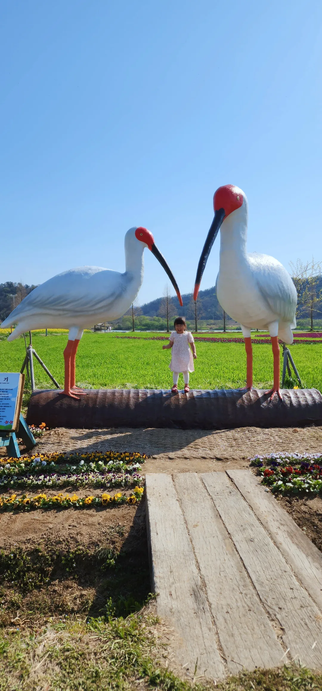 昌寧南旨ユチェ畑 写真 11