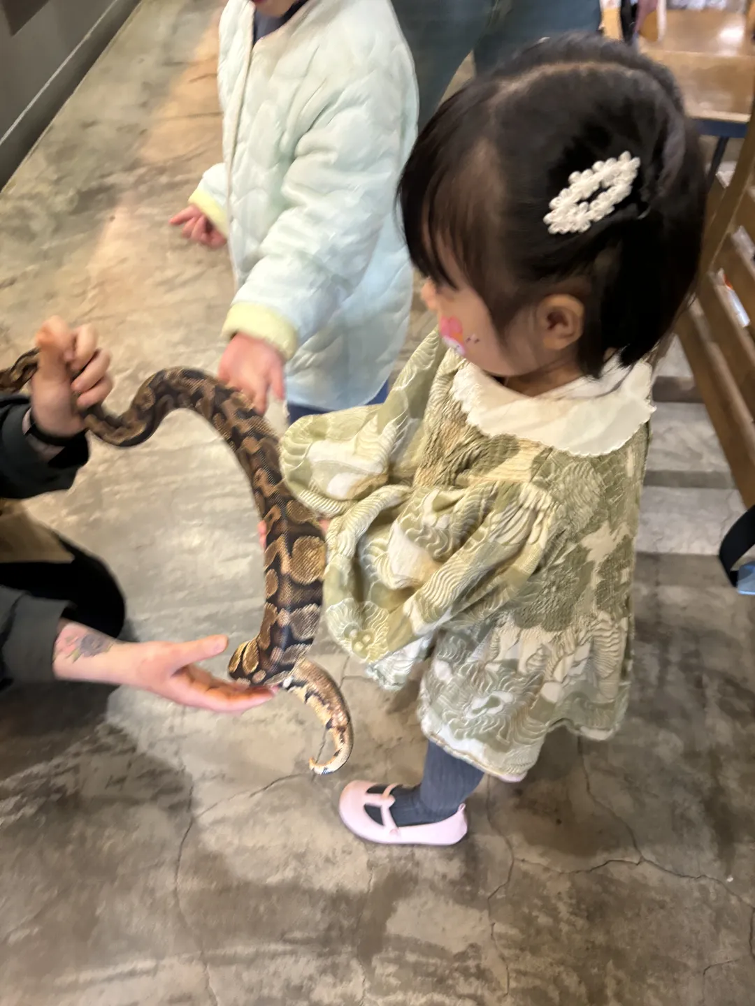 애니멀빌리지