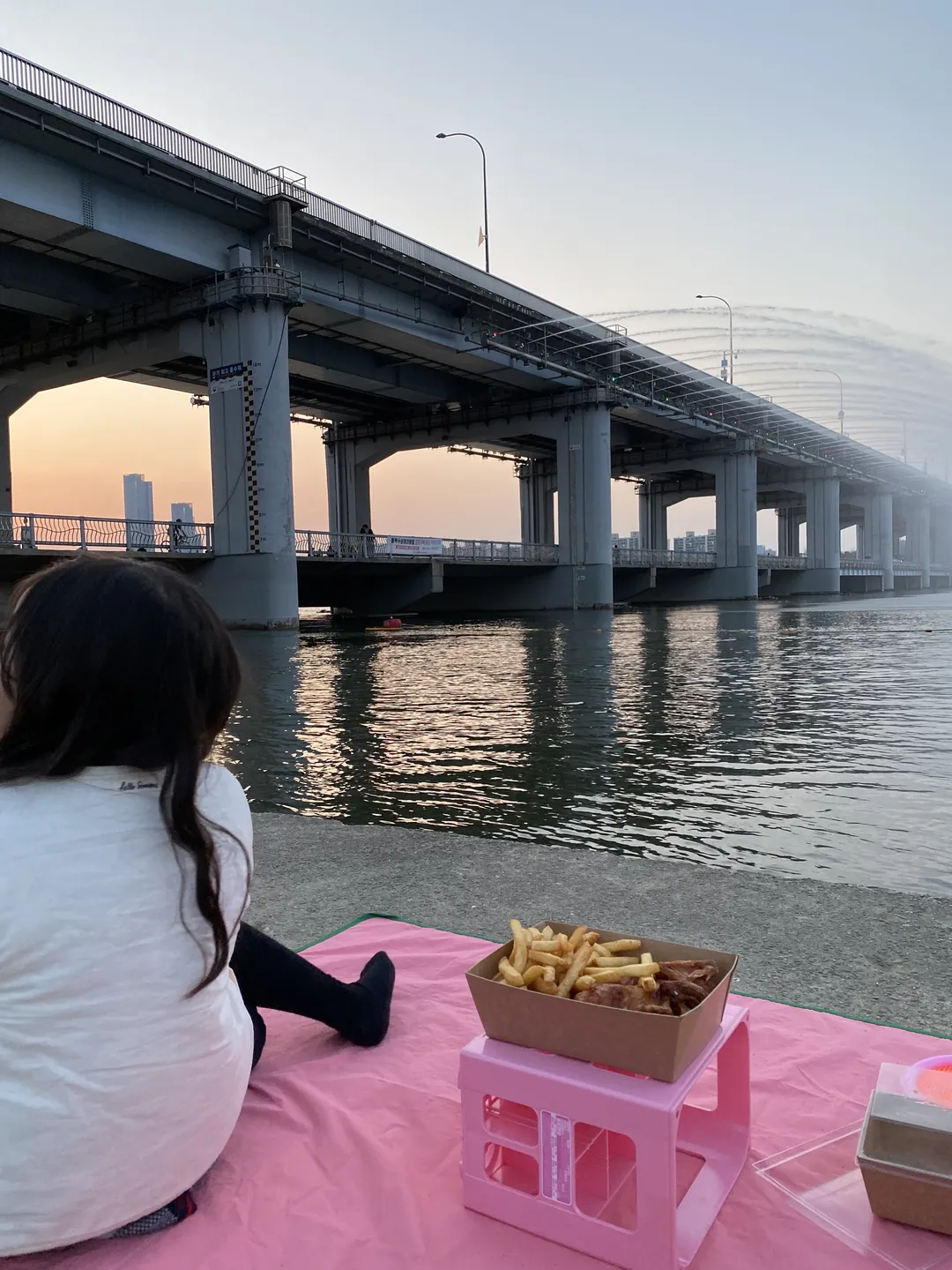 盤浦大橋月光虹噴水 写真 6