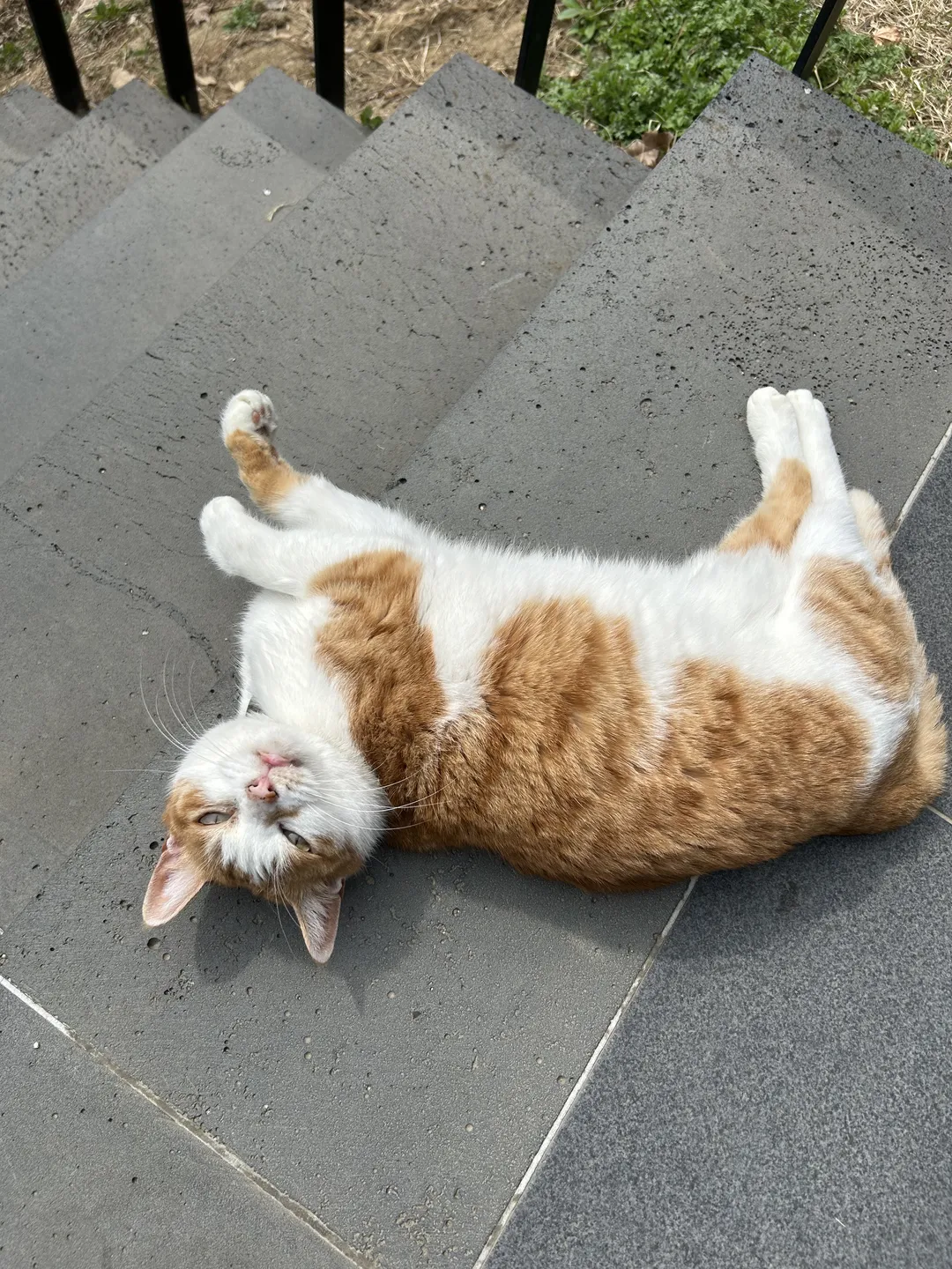 도선재 사진 6