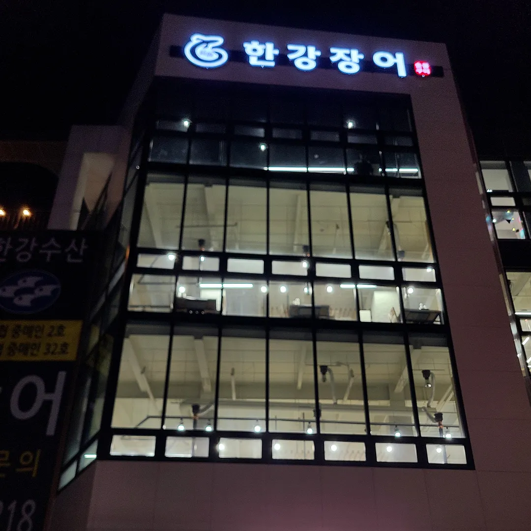 Han River Eel photo 9