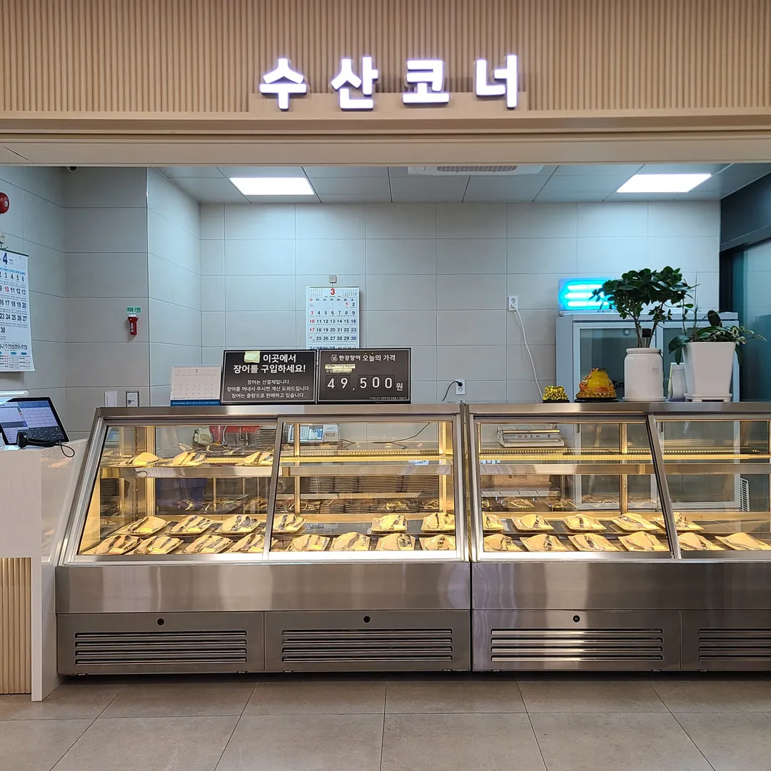 Han River Eel photo 8