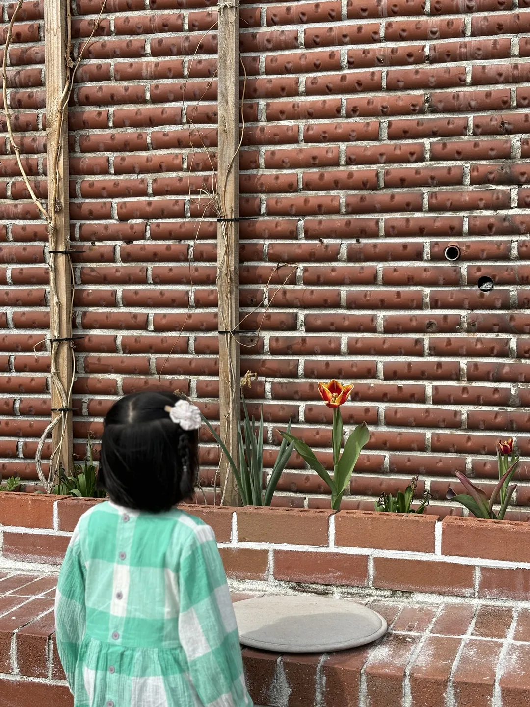 화계절 사진 9