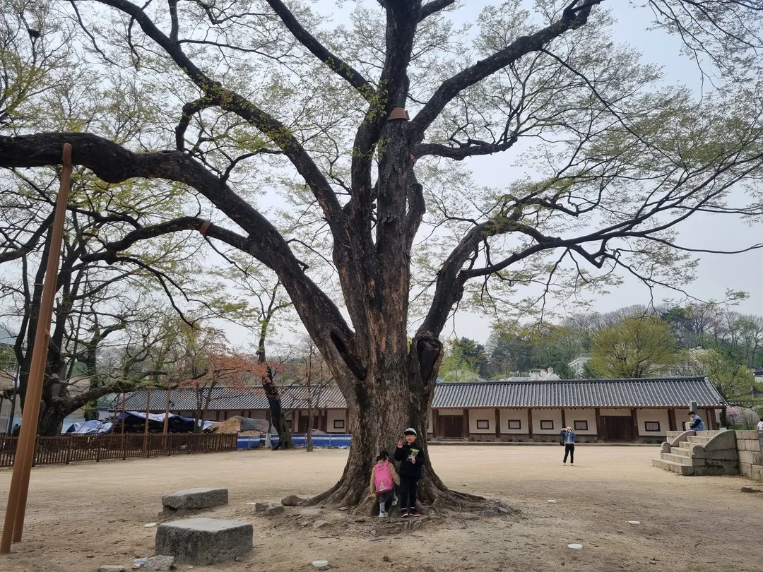 서울문묘 사진 9