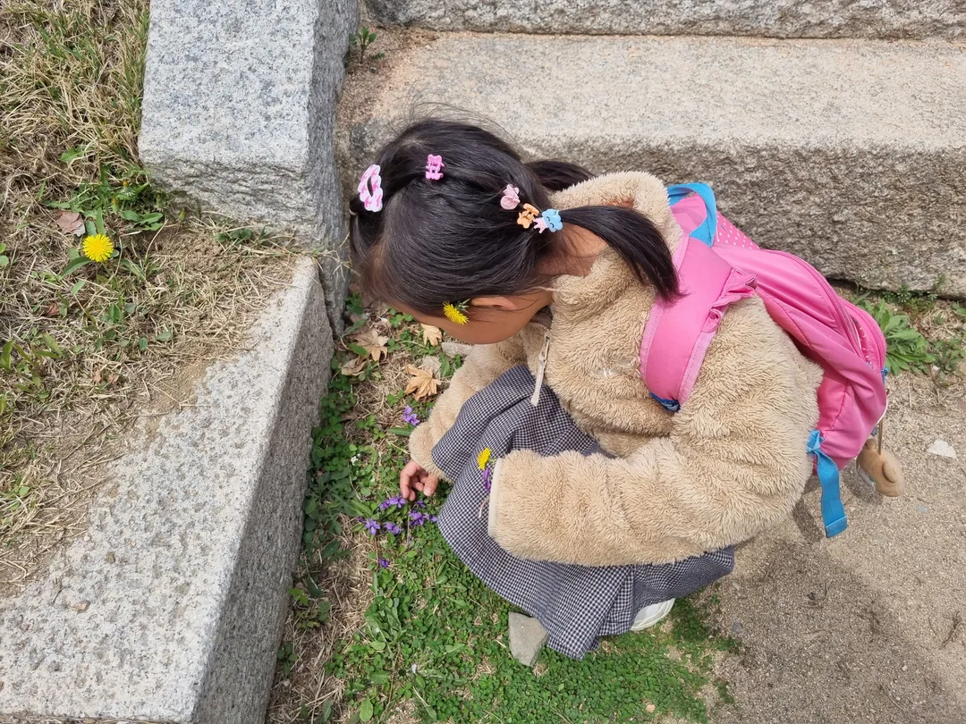 서울문묘 사진 12