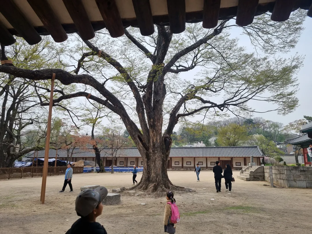 서울문묘 사진 19