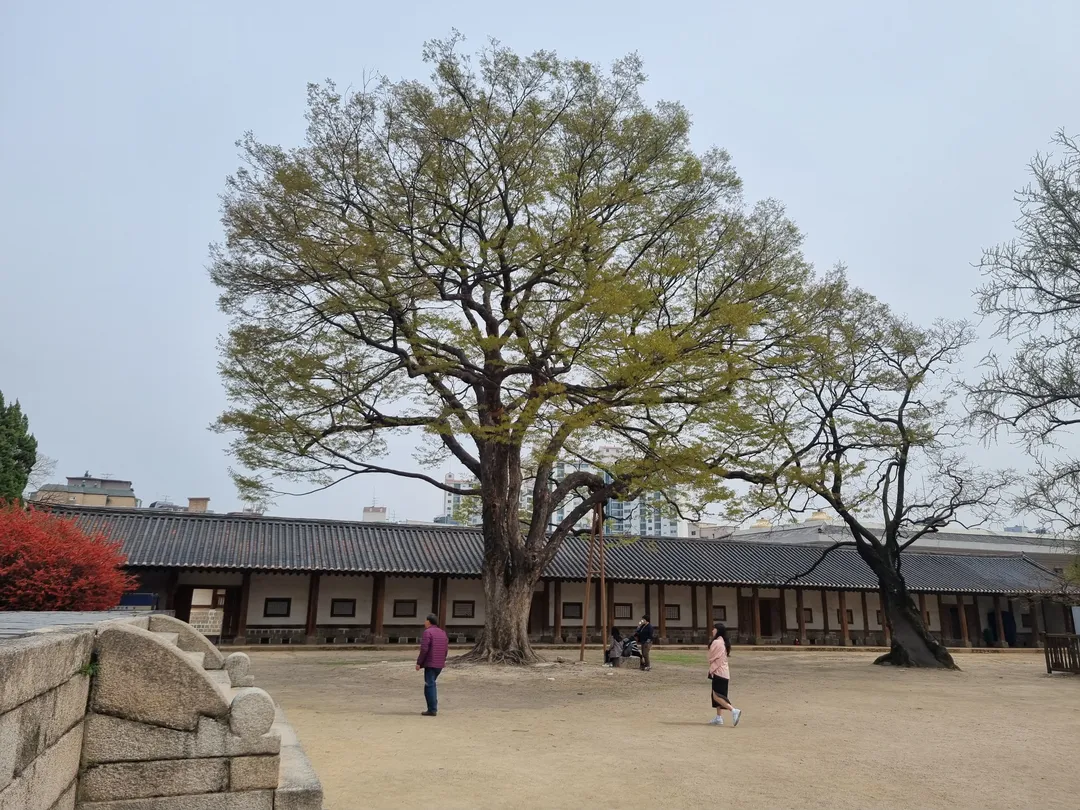 서울문묘 사진 15